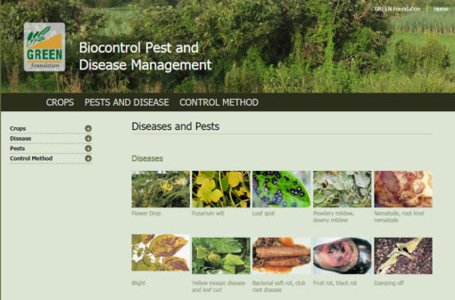 Biocontrol Pest and Disease Management